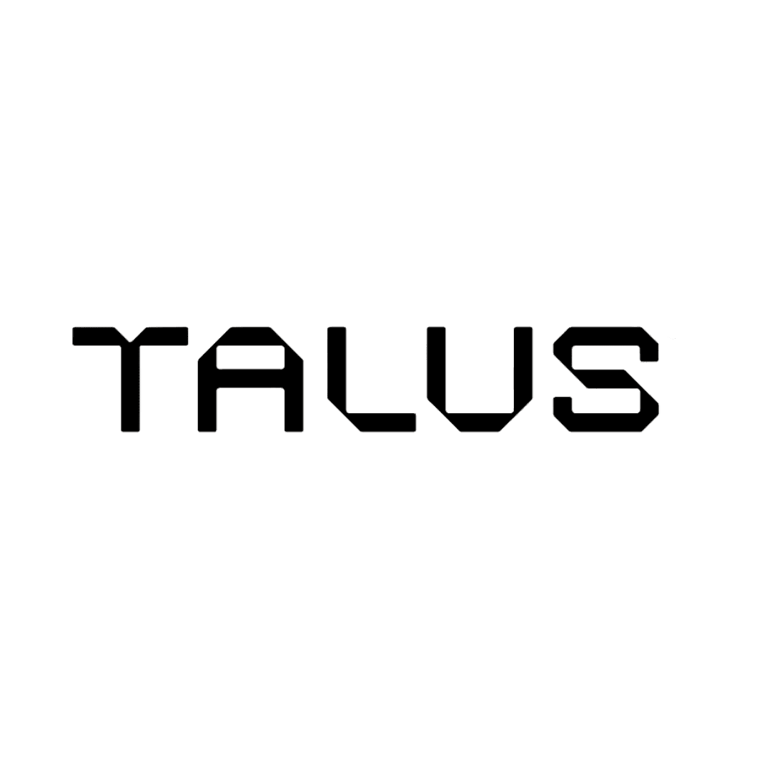 Talus